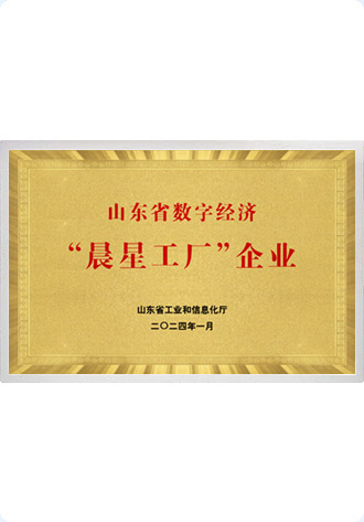 山东省晨星工厂