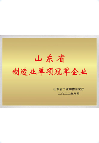山东省单项制造业冠军
