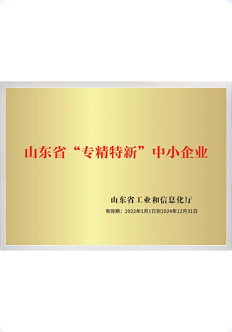 山东省专精特新中小企业